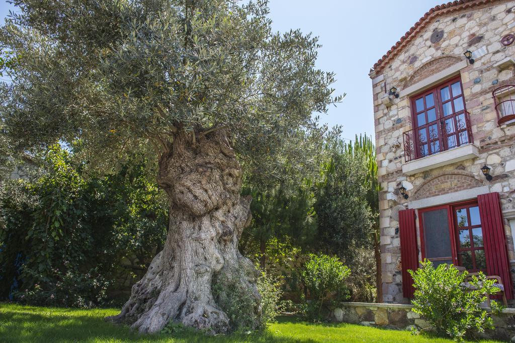 Alacati Zeytin Konak Hotel المظهر الخارجي الصورة